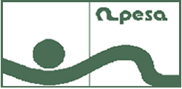Logo APESA